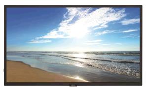 Large Format Display - Multisync M321 Pg - 32in