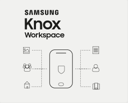 Knox Workspace - 2 Year