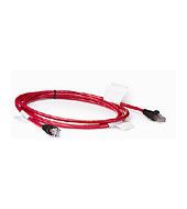 Ip Cat5 Cable 40ft 1-piece