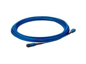 Premier Flex MPO/MPO Multi-mode OM4 12 Fiber 2m Cable