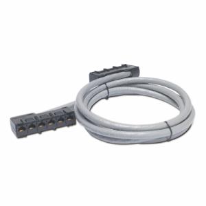 Data Distribution Cable - Cat 5e - UTP - 6x Rj45 To 6x Rj45 Jack - 15m - Grey