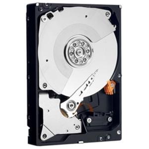 Hard Drive - 2.4TB - SAS 12gbps 10k 512e (FIPS) 2.5in