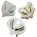 Replacement Projector Lamp