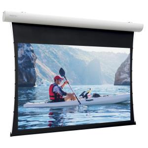 Projecta Tensioned Elpro Concept  156x250 Wide (16:10) Hd Progressive 0.9