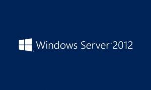 Windows Server 2012 Client Access For Rok Standard Datacenter 5 Device