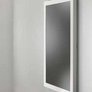 Protective Glass Wall Kiosk 55in Class