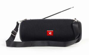 Portable BT Speaker FM-Radio with Antenna - Black