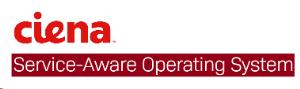 Saos Adv Oam Perp Sw Lic 5142